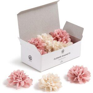 Mini Flower Fashion Small Magnet Set, Pink and Cream, 12 Count, Office Supplies